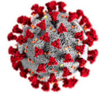 Covid-19. <br>What you need to know. Covid-19. <br>What you need to know.
